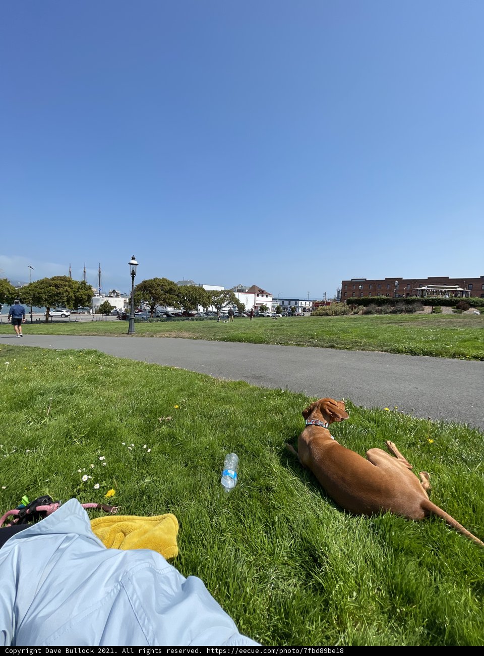 Relaxing in the Park