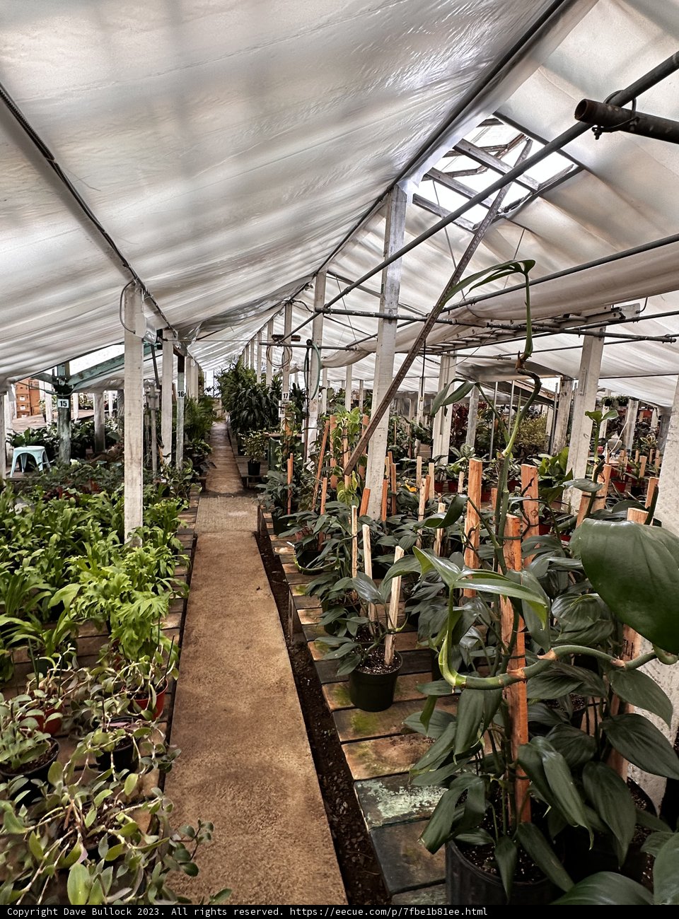 The Flourishing Greenhouse