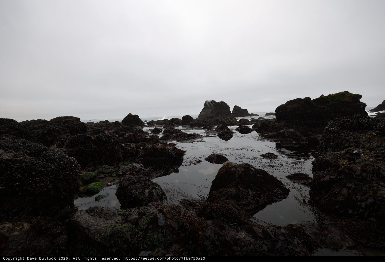 Moody Low Tide Reveals Ancient Rocky Coastal Pools