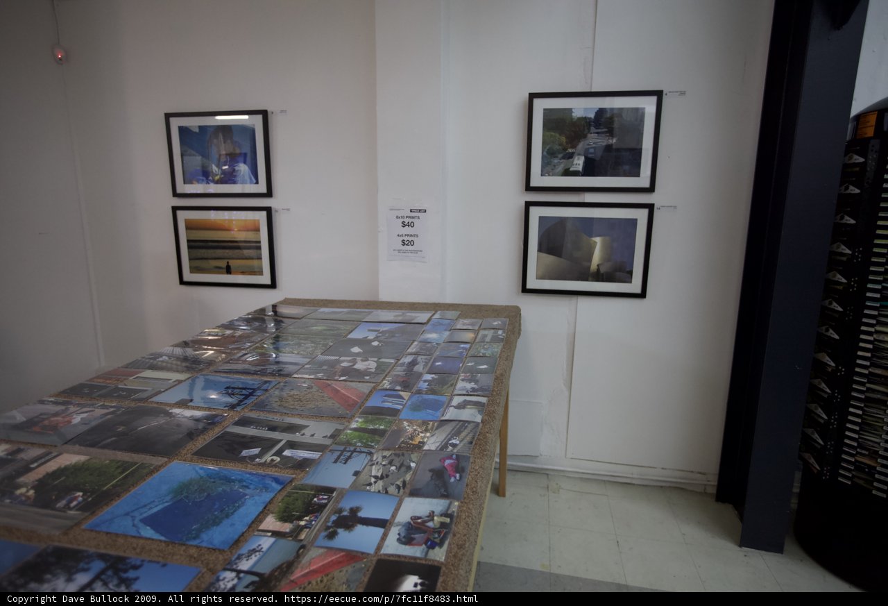 Art Gallery Display