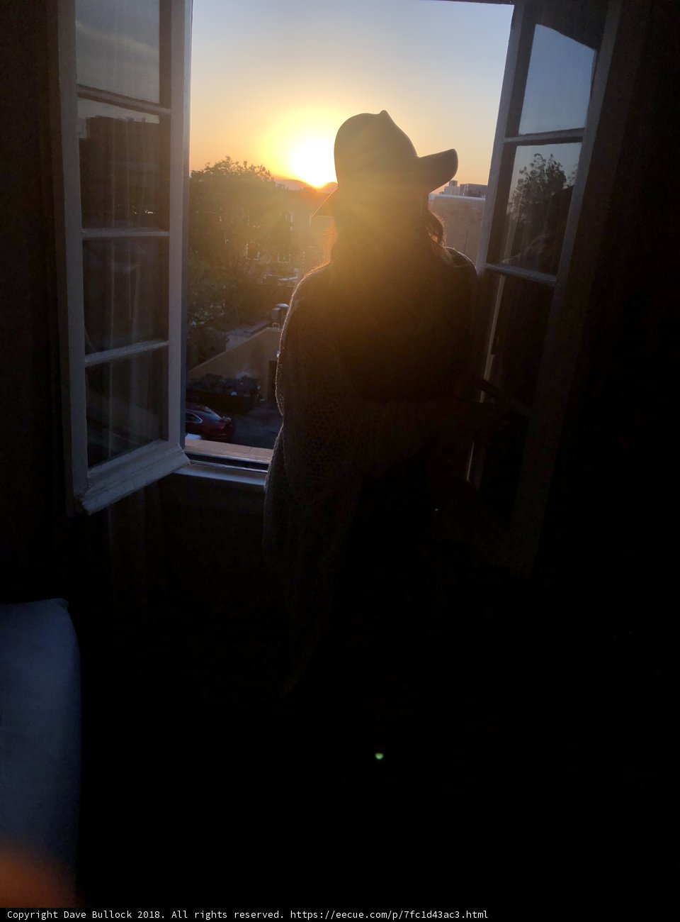 Window Silhouette