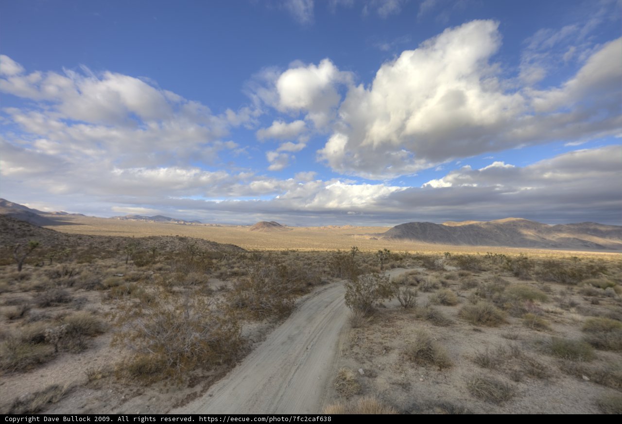 Desert Road Bliss