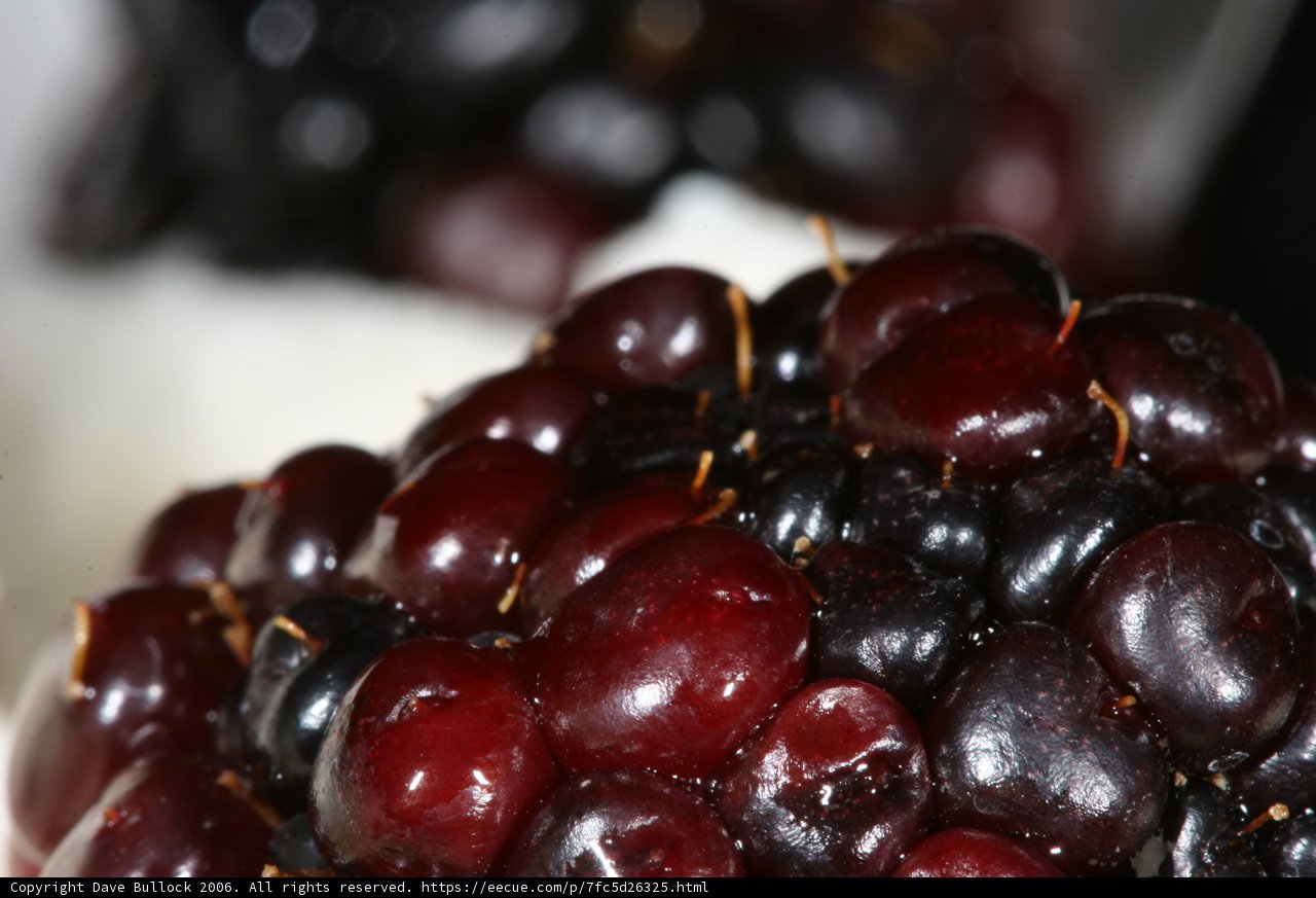 Sweet Cherries