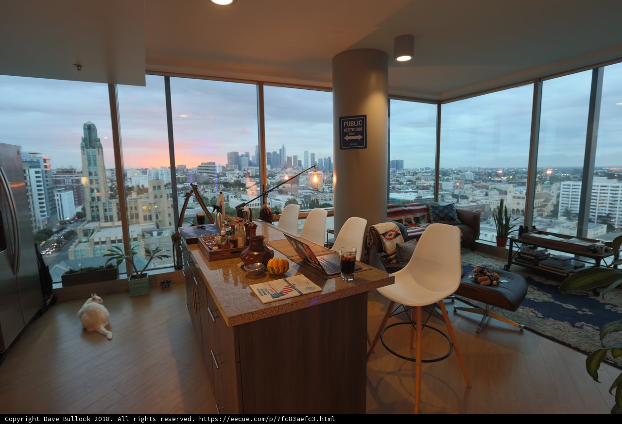 Urban Oasis in Los Angeles