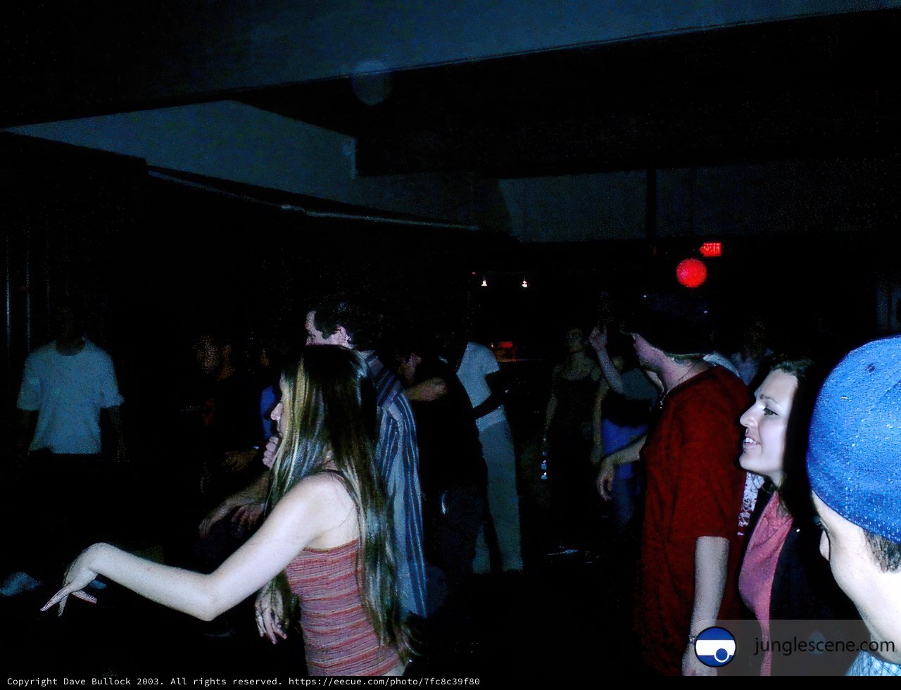 Nightclub Gathering