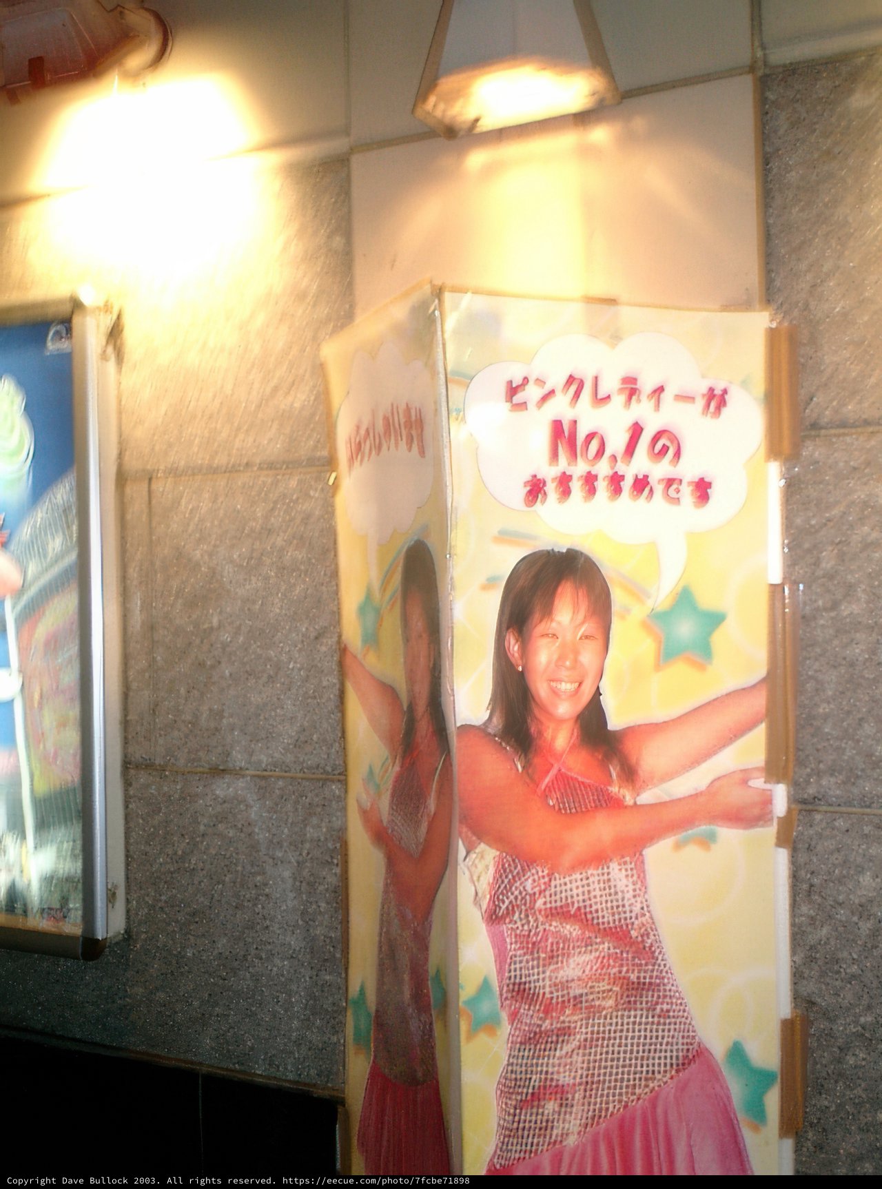 Poster Portrait of a Fashionable Woman
