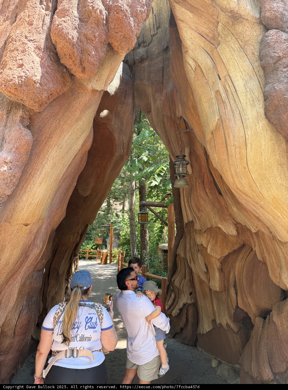Wandering Through Natural Wonders