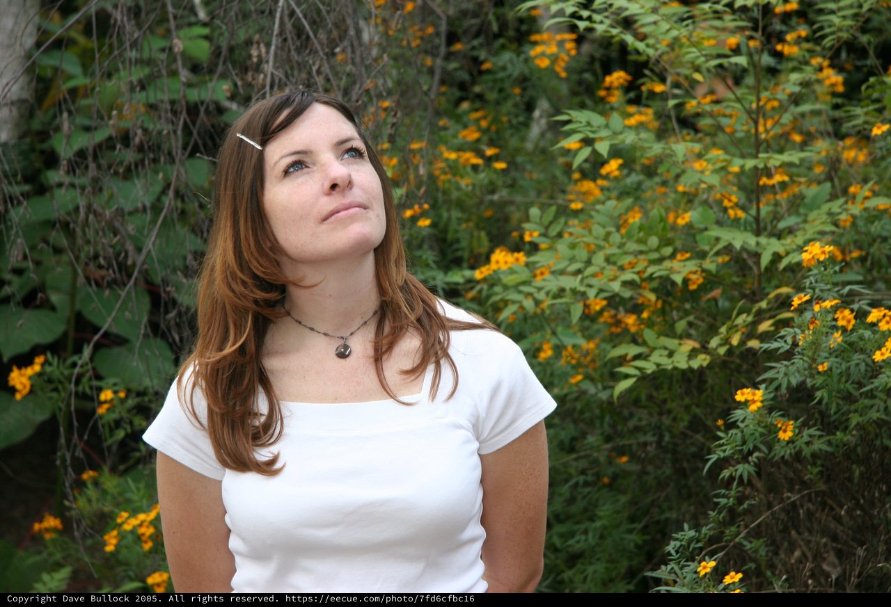 Young Woman Gazing Upward Among Yellow Wildflowers