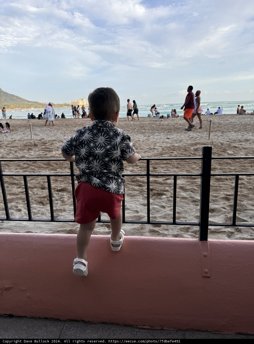 Eager Anticipation: A Child’s View at Waikiki Beach