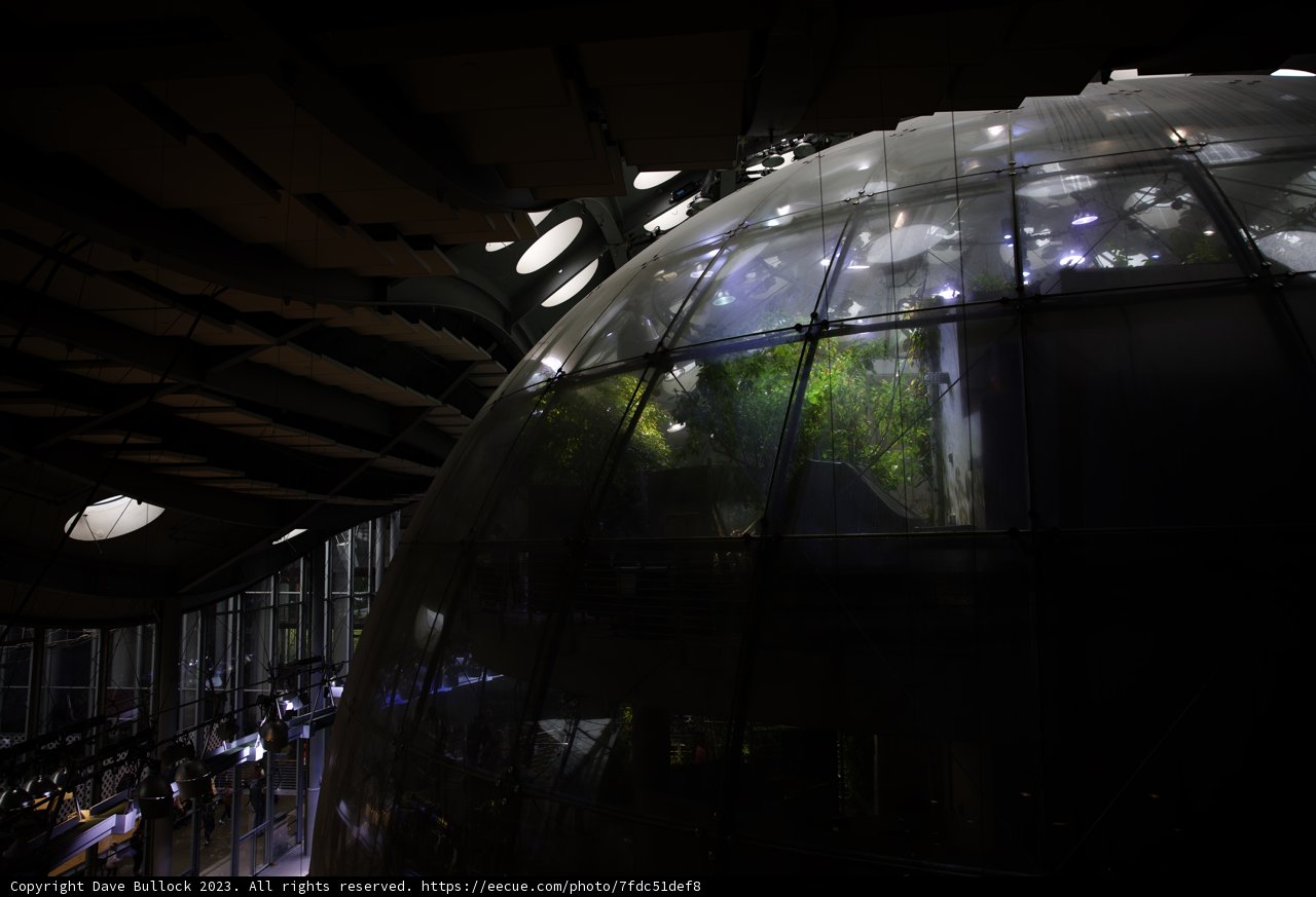 The Living Dome at California Academy of Sciences