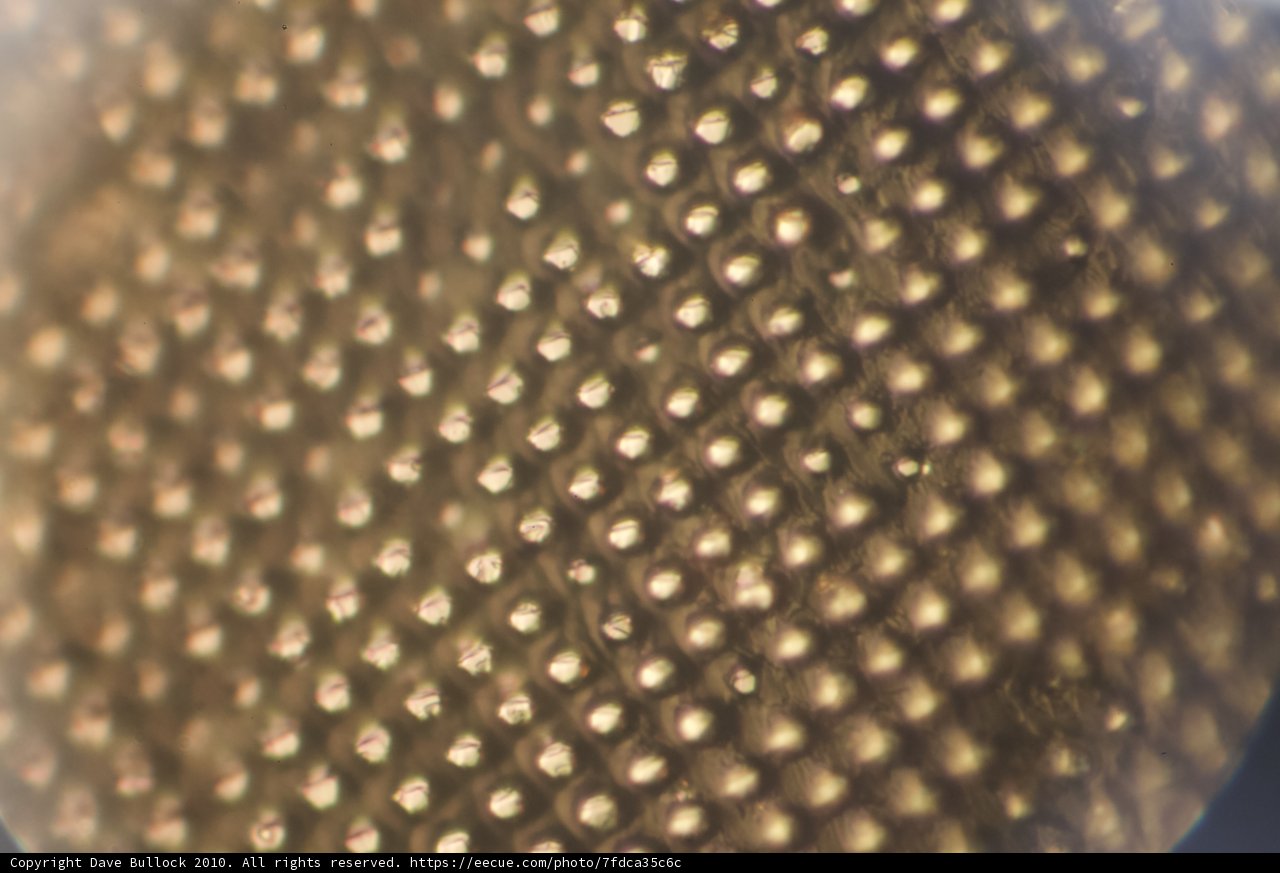 Honeycomb Sphere
