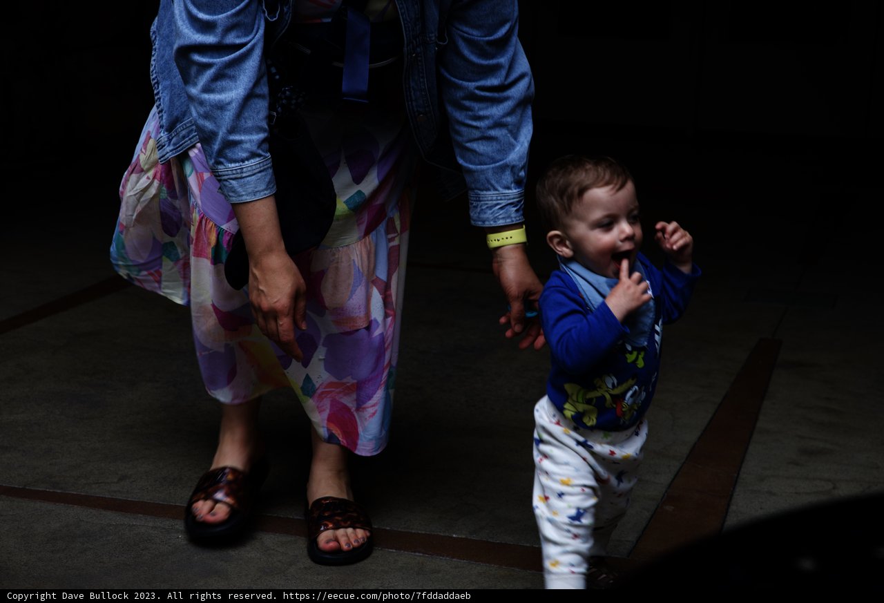A Cherished Stroll at Disneyland