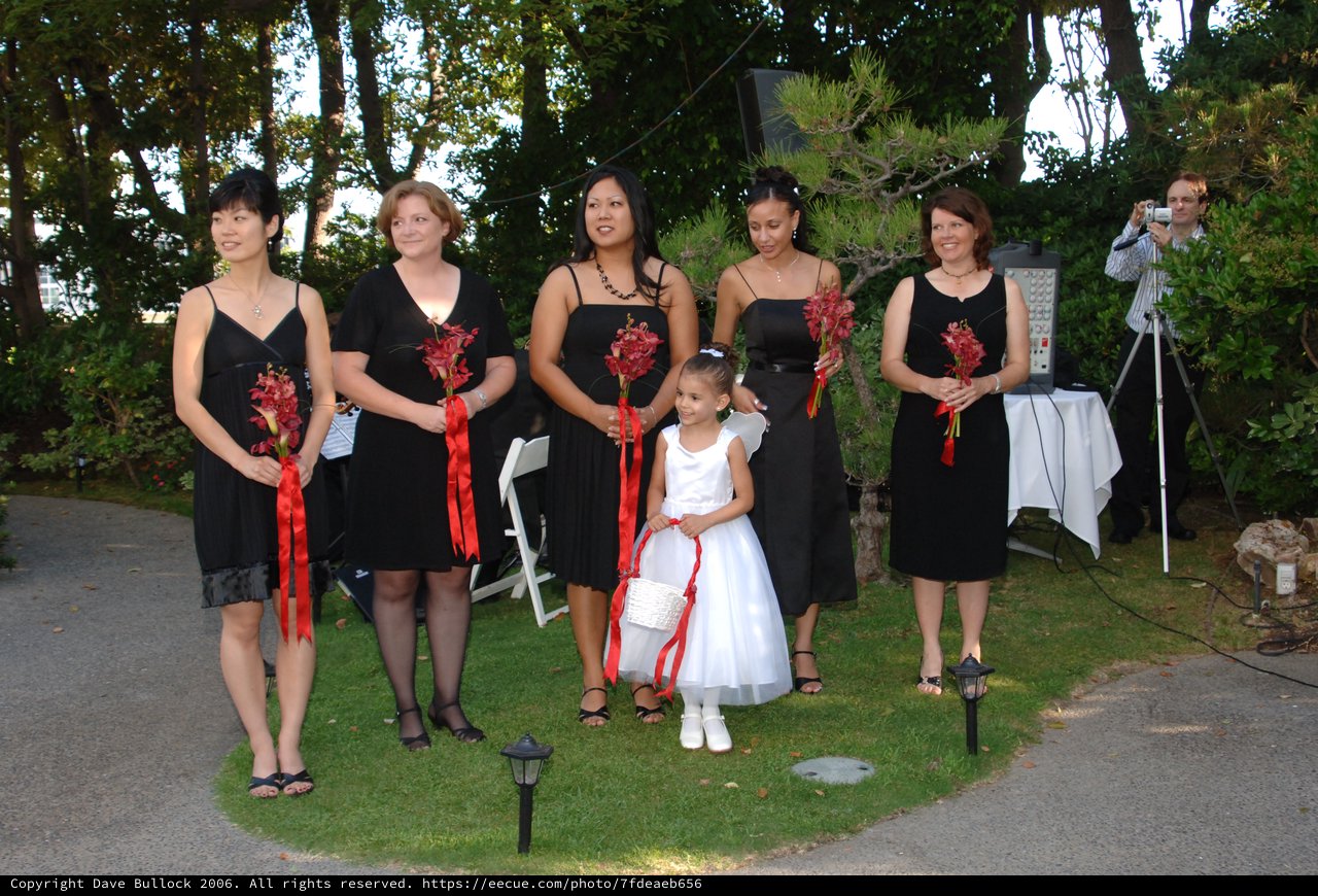Bridesmaids and Flower Girl Pose at Outdoor Wedding