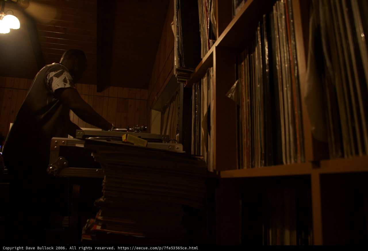 The Bookworm's Haven