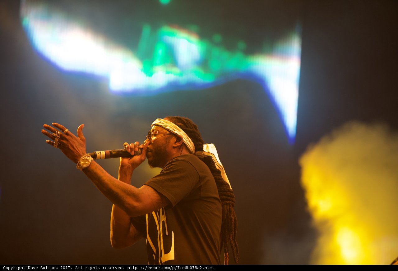 Rockin' the Crowd