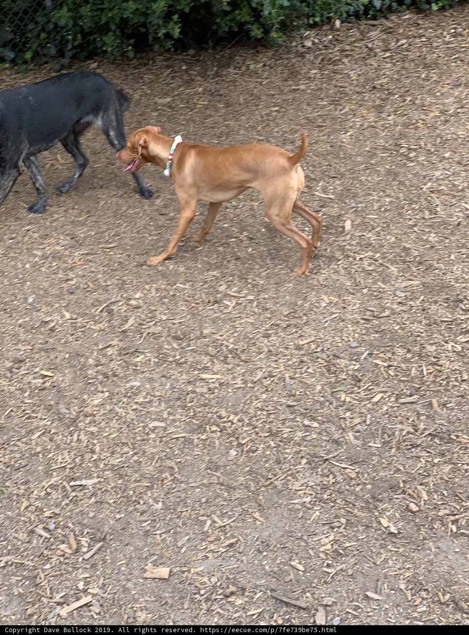 Playtime in the Park