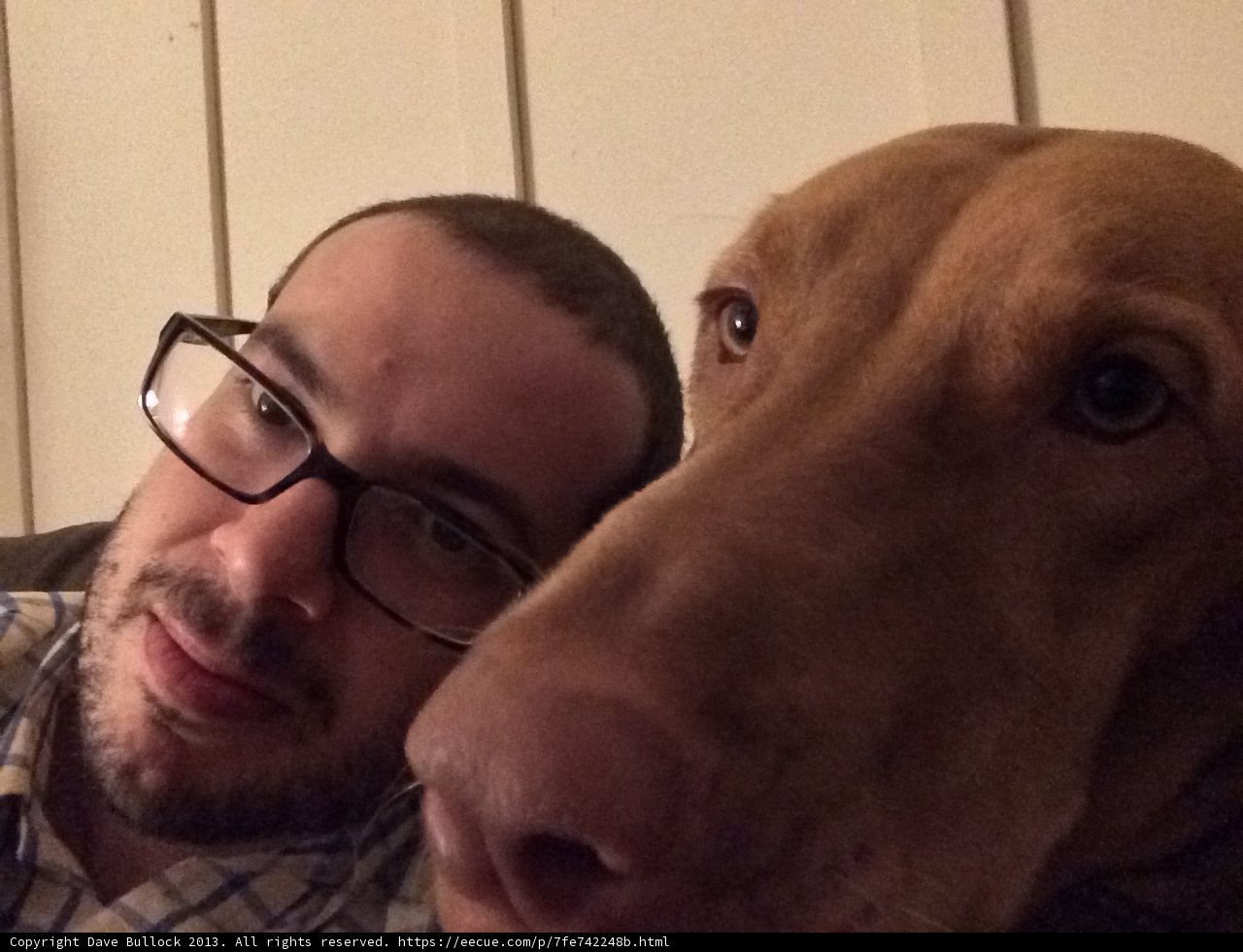 A Man and His Canine Companion