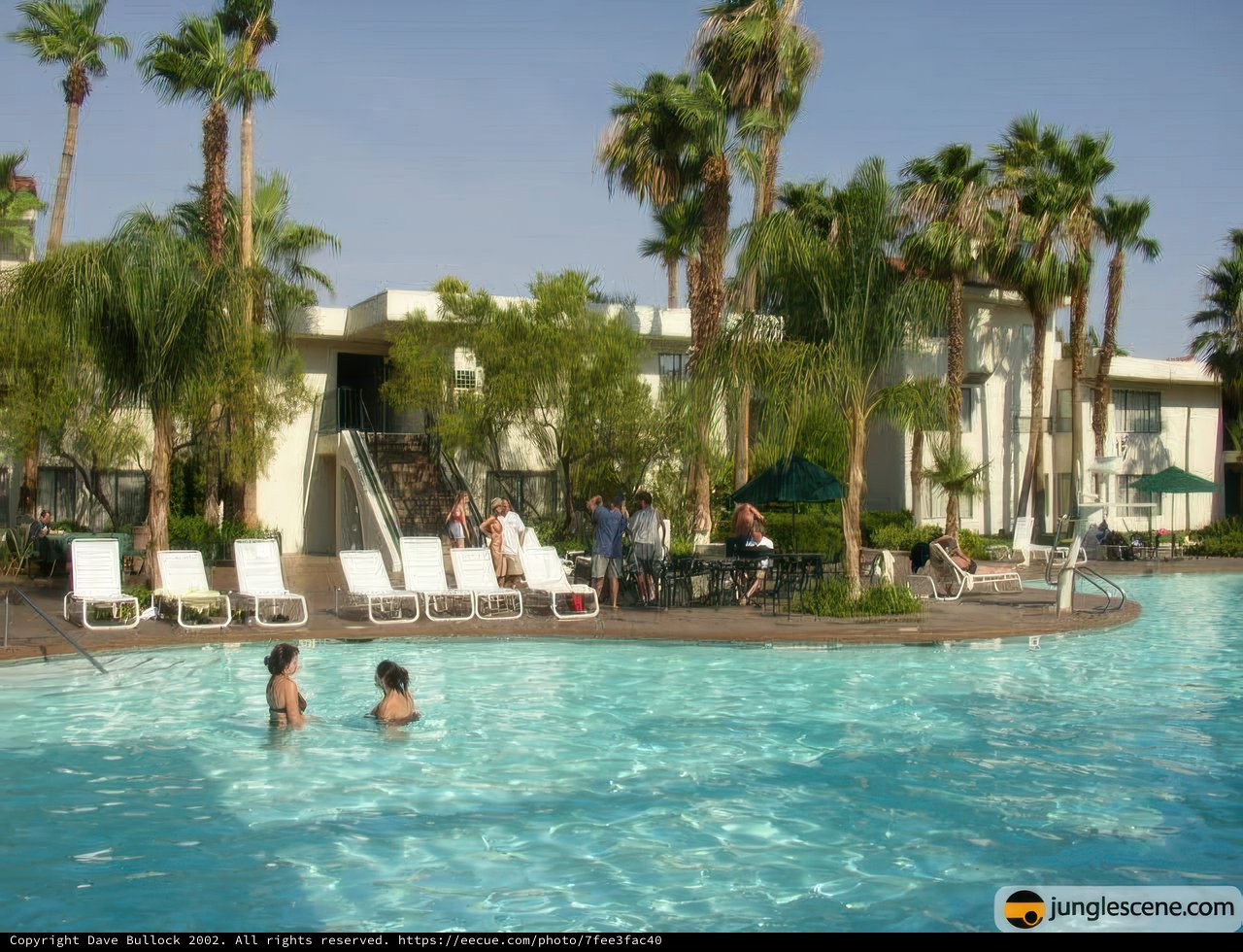 Fun in the Sun at Palm Springs Resort