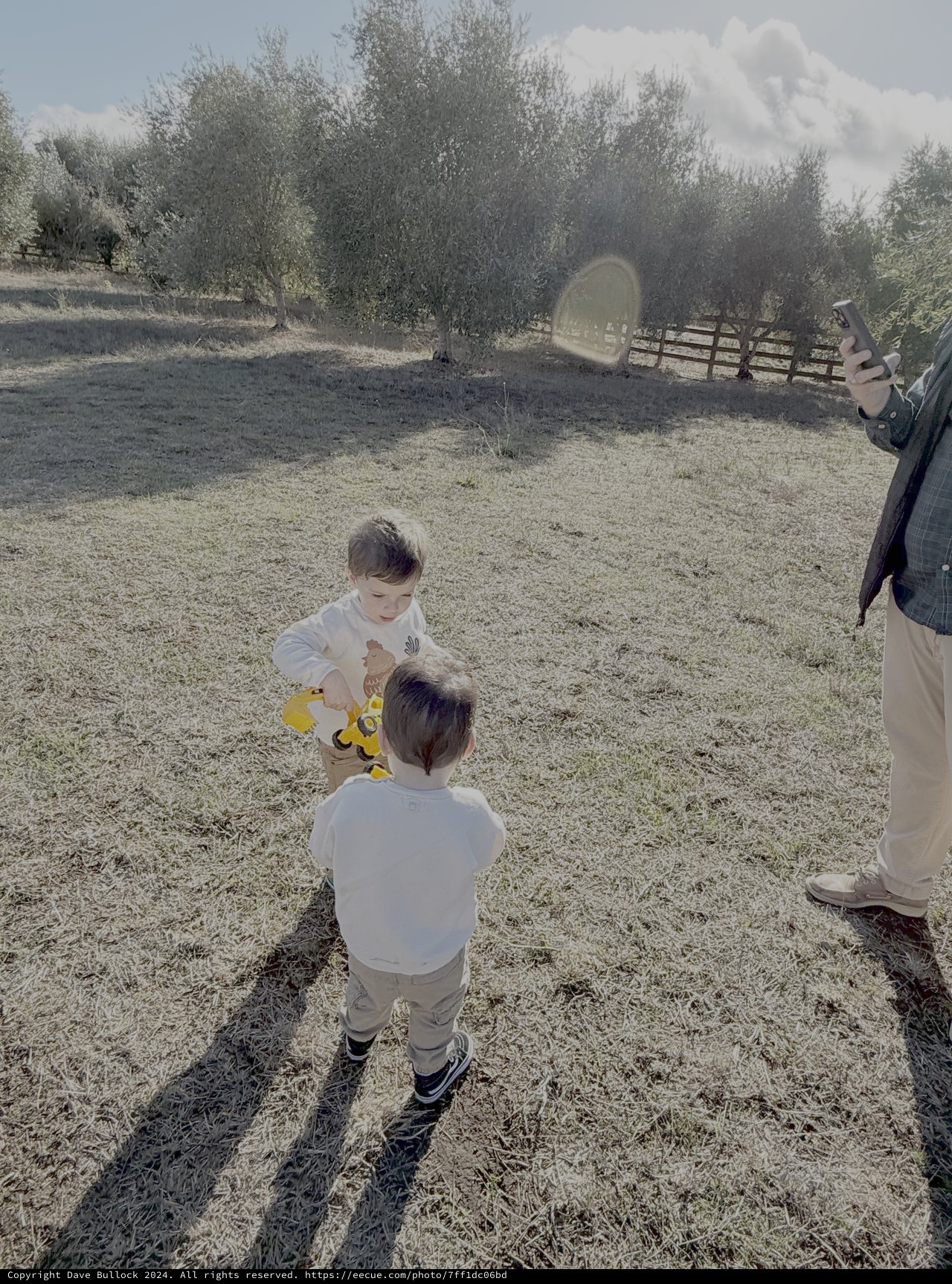 Children Playing in Rural Farm Setting