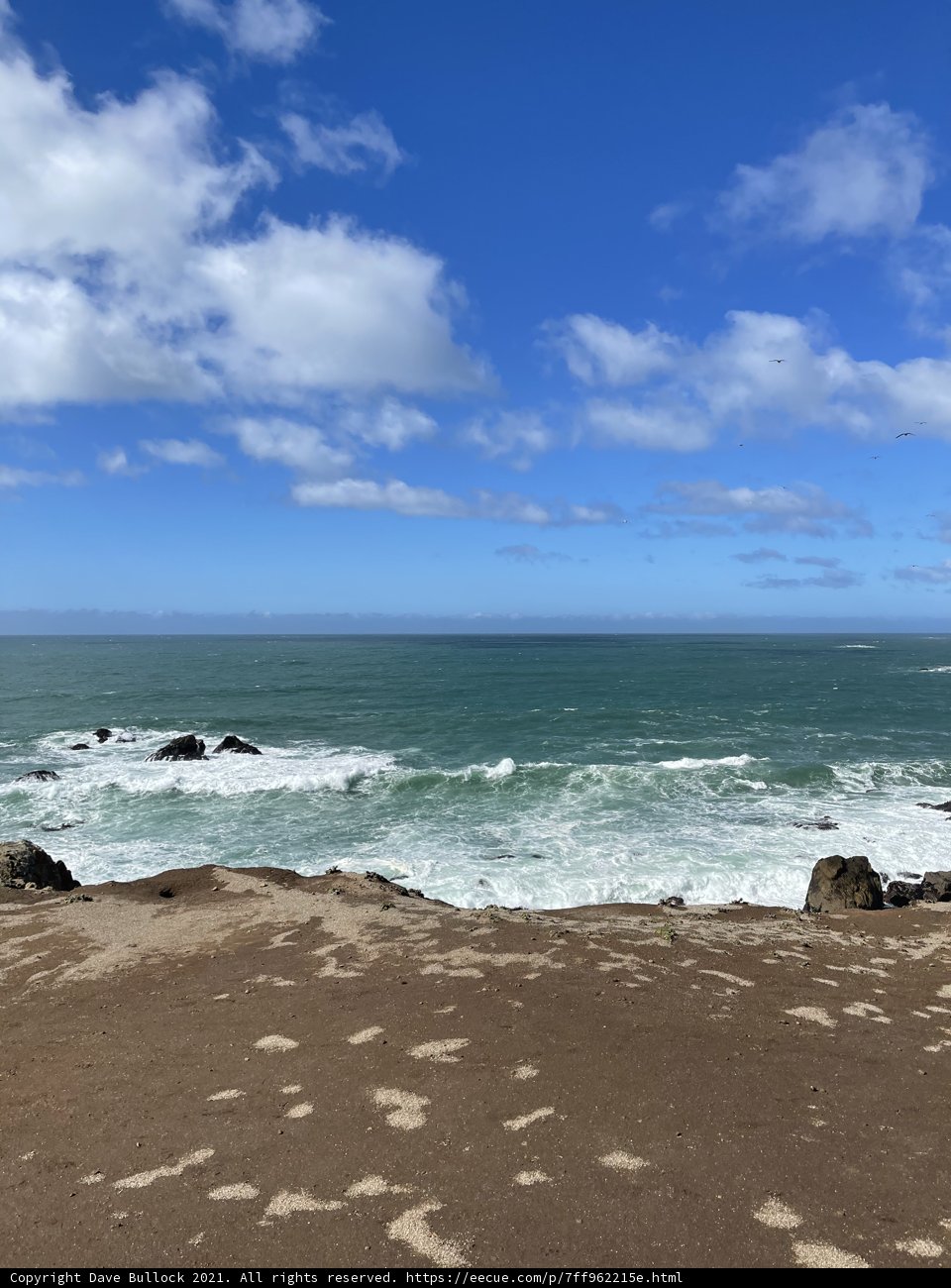 Overlooking the Majestic Pacific