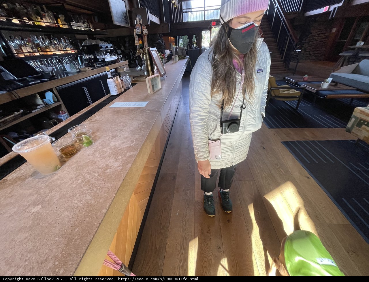 Masked Woman at the Wooden Bar