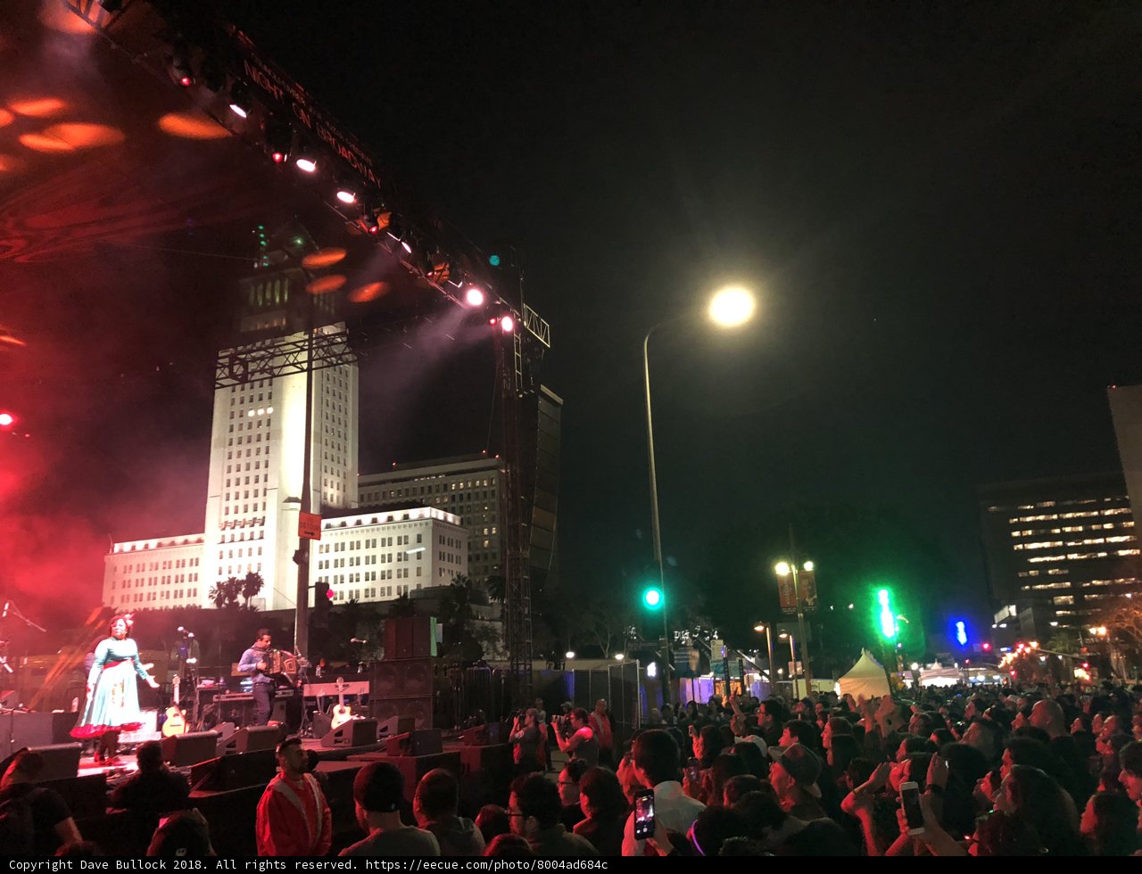 Electric Night in the Metropolis
