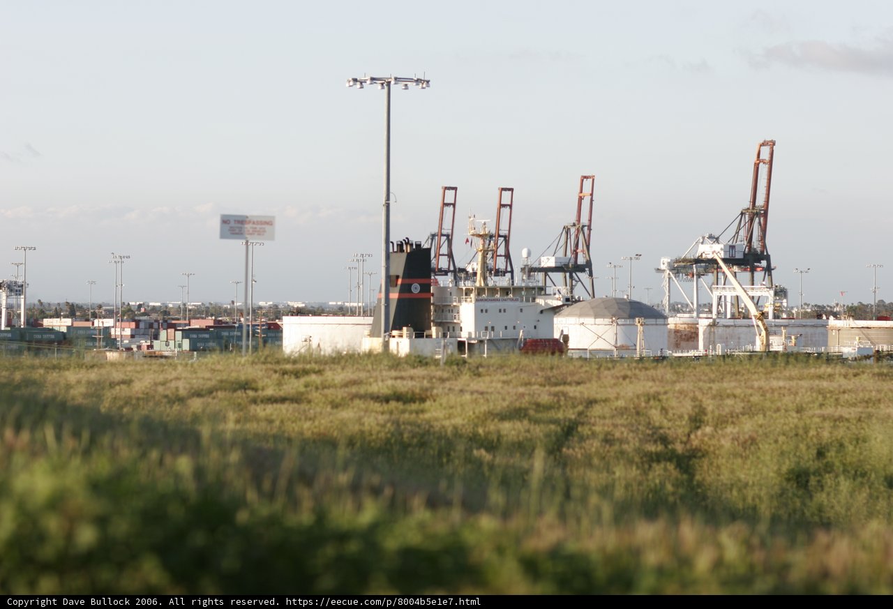 Peaceful Grassland by the Harbor