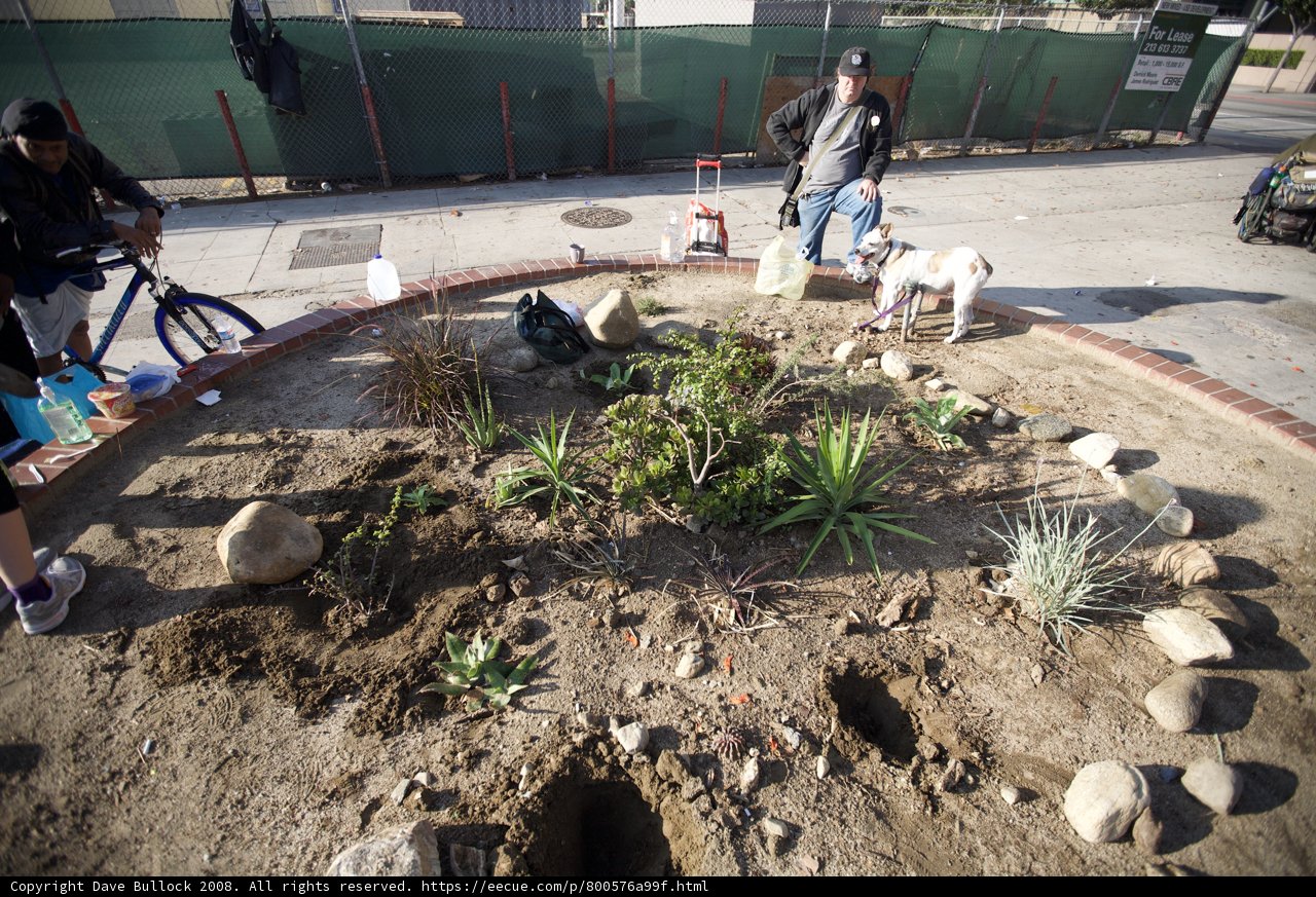 Guerilla Gardening with Three People and a Canine Helper