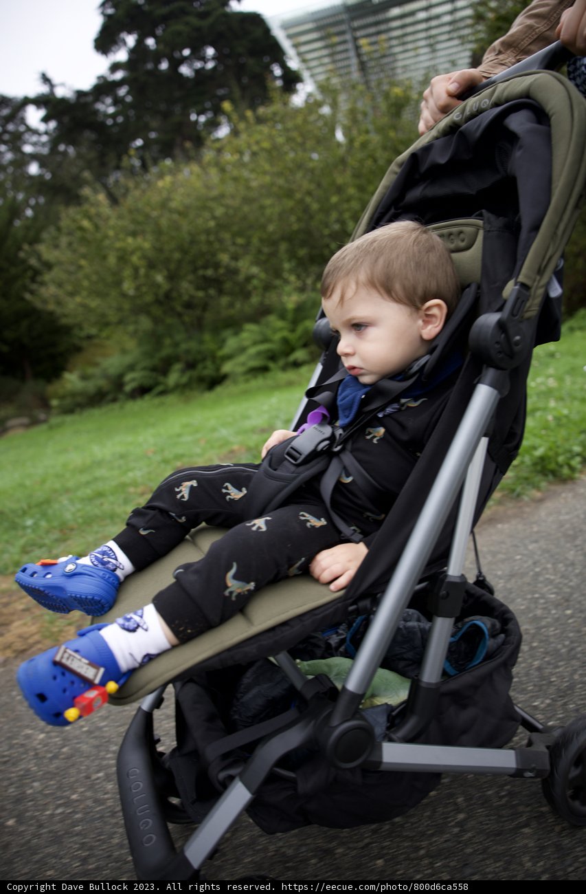 The Stroll in Golden Gate Park