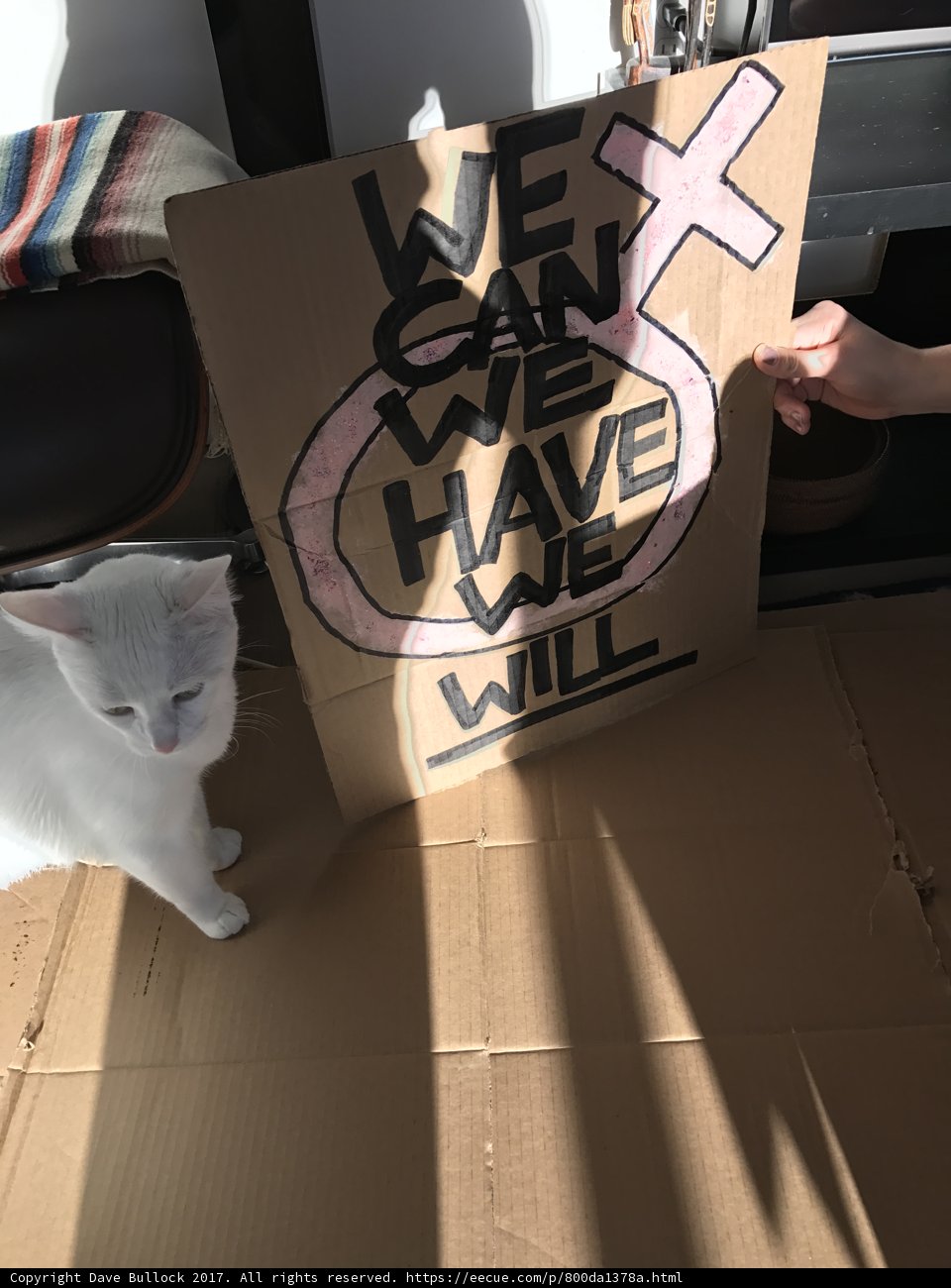The Generous Feline