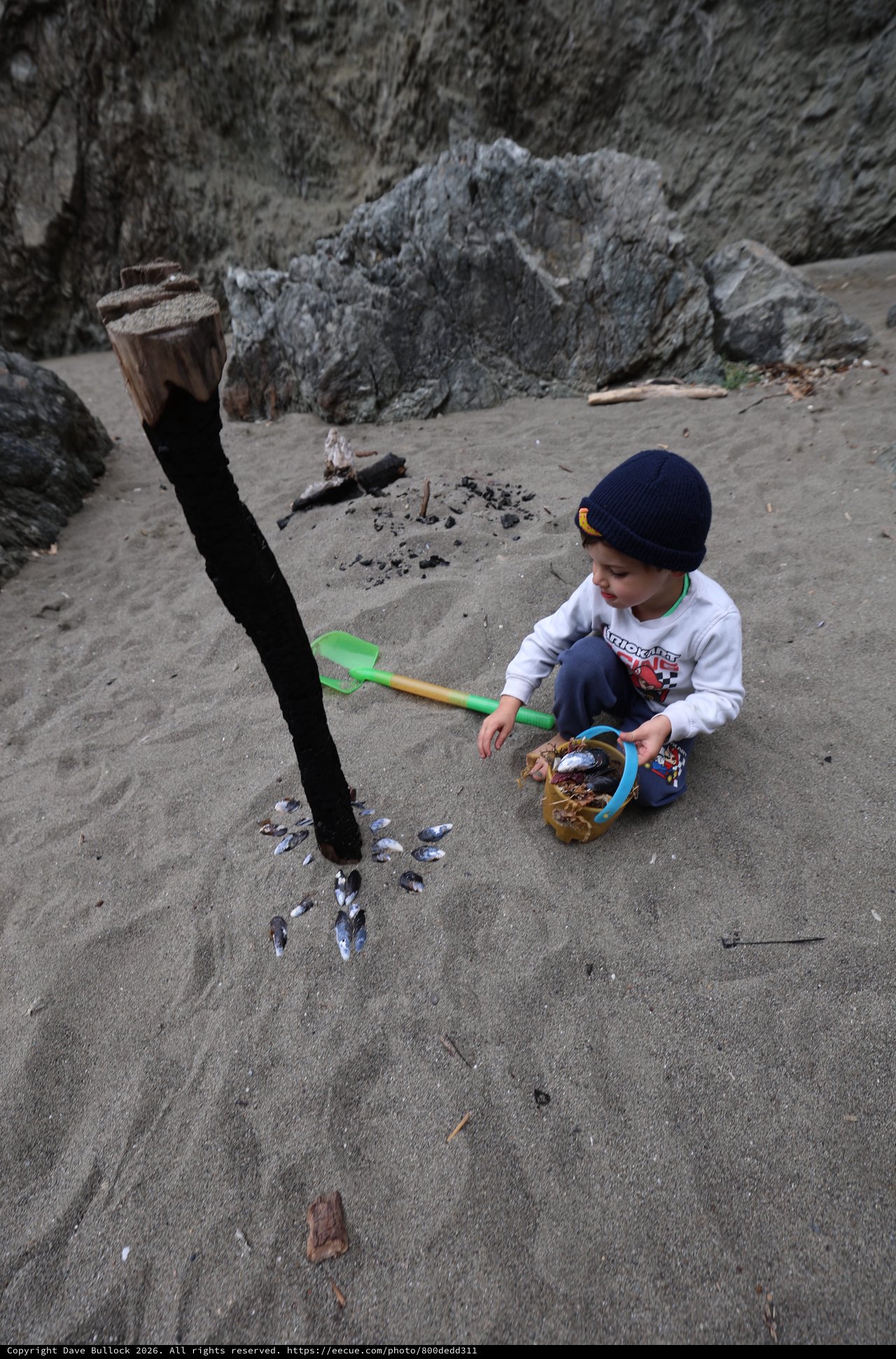 Young Explorer Collecting Shells on a Rocky Beach
