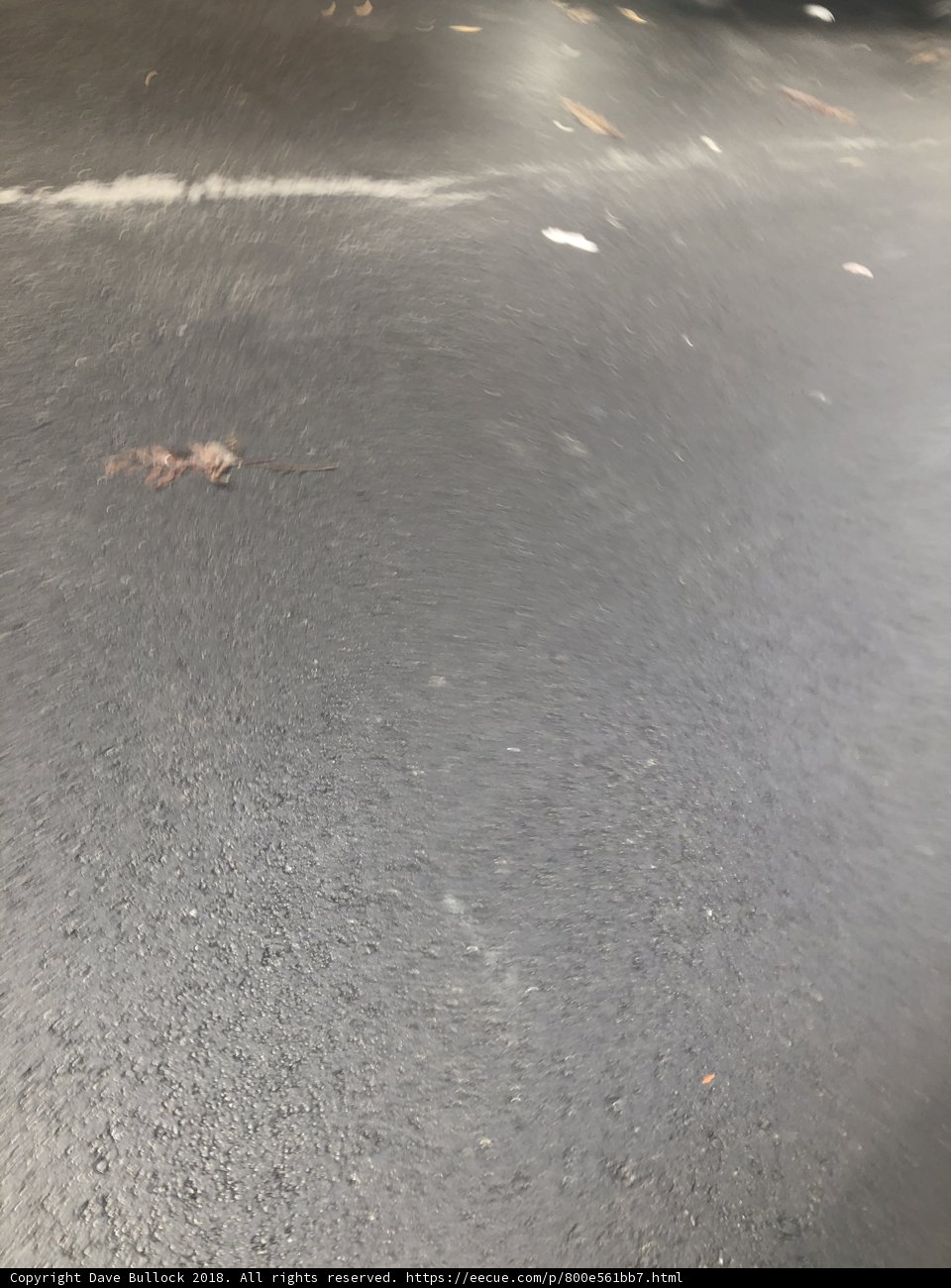 Blurry Streetscape
