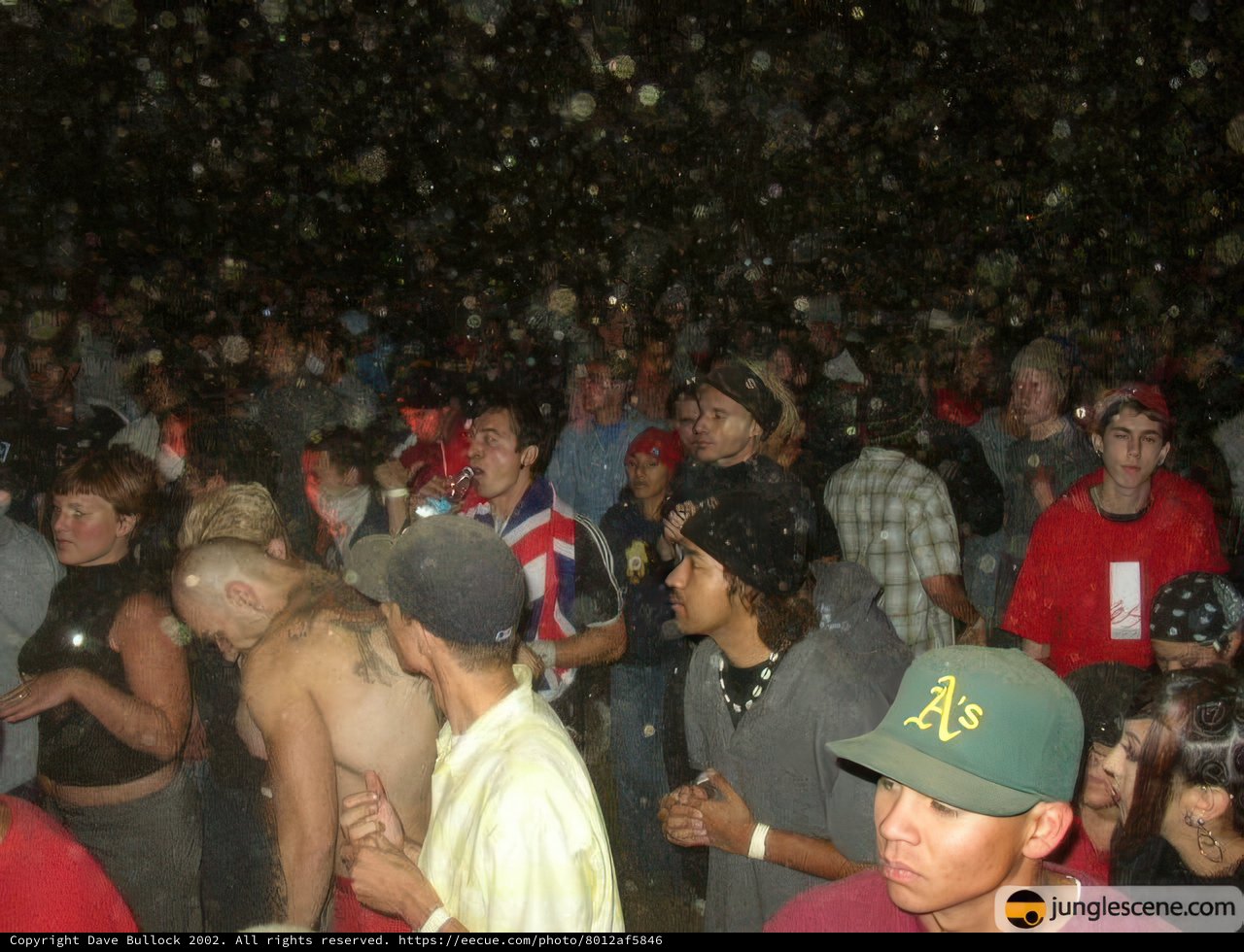 Snowy Party Crowd