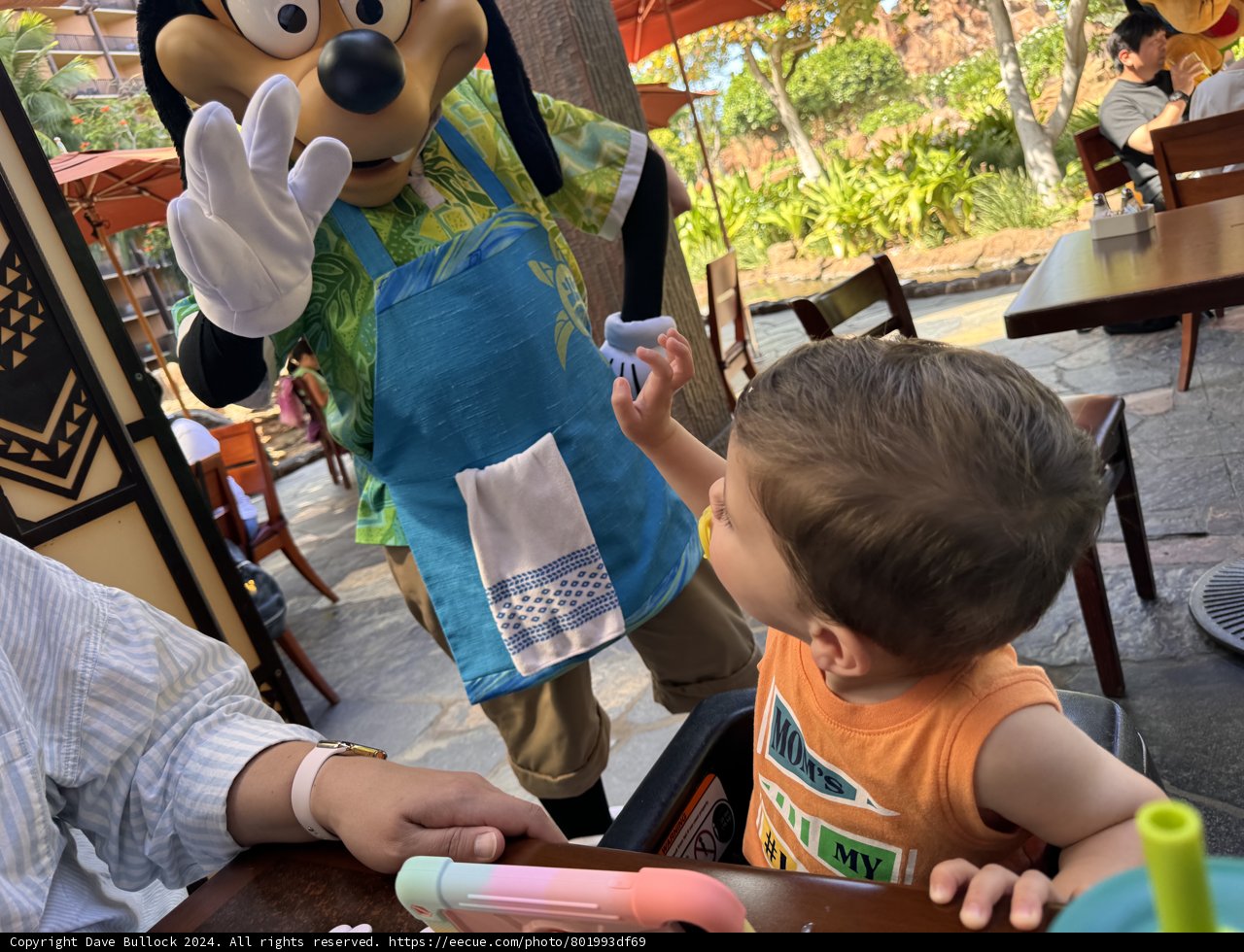 Magical Encounter at Aulani