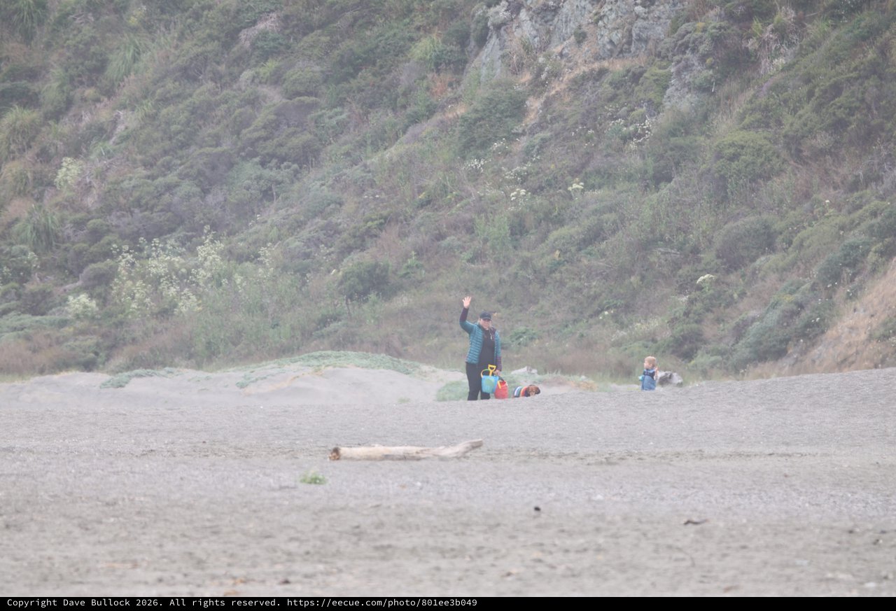 Family Waving on a Misty Gravel Beach