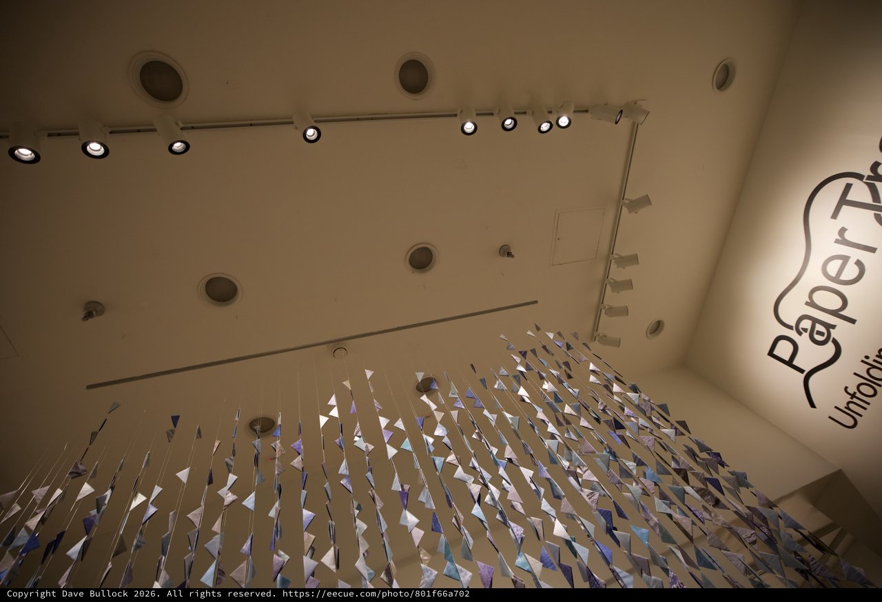 Paper Art Installation at Modern Gallery Space