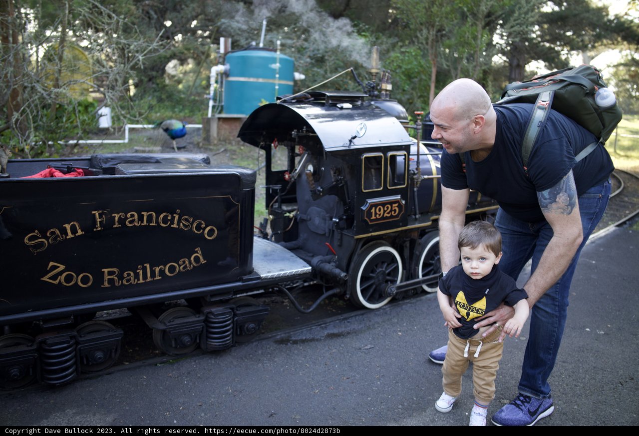 Treasure of Childhood: Day at the SF Zoo