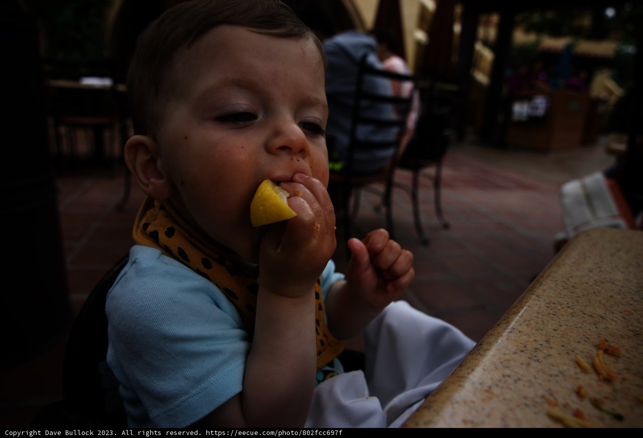 Baby's First Lemon: A Sour Surprise