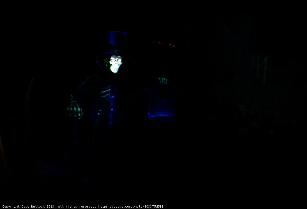 A Mysterious Encounter at Disneyland