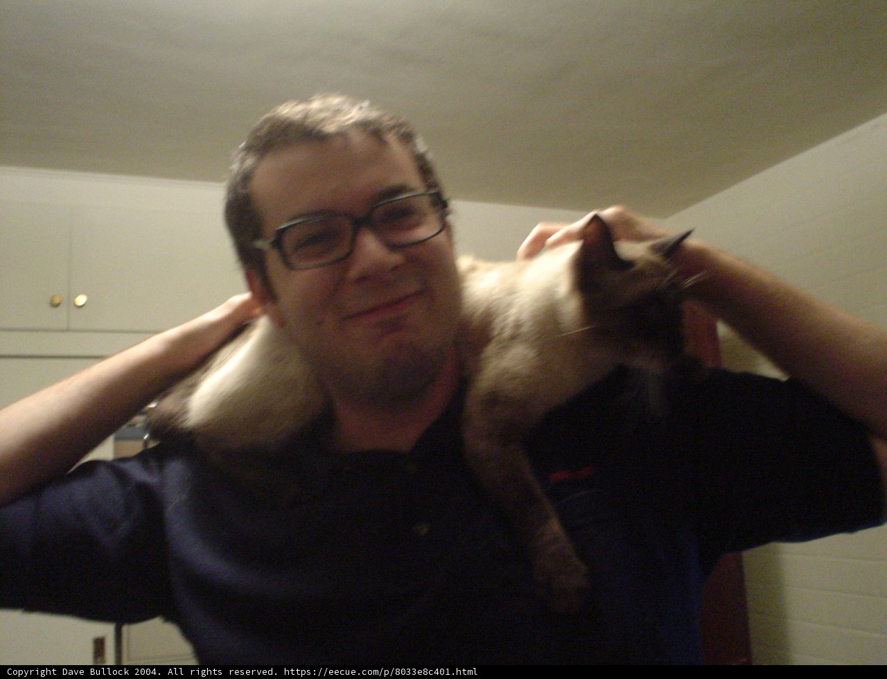 Man and Siamese Cat