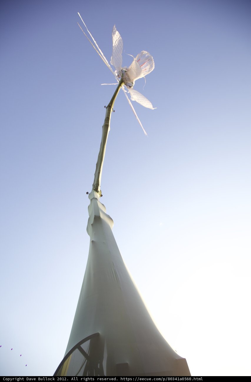 White Windmill in the Wild