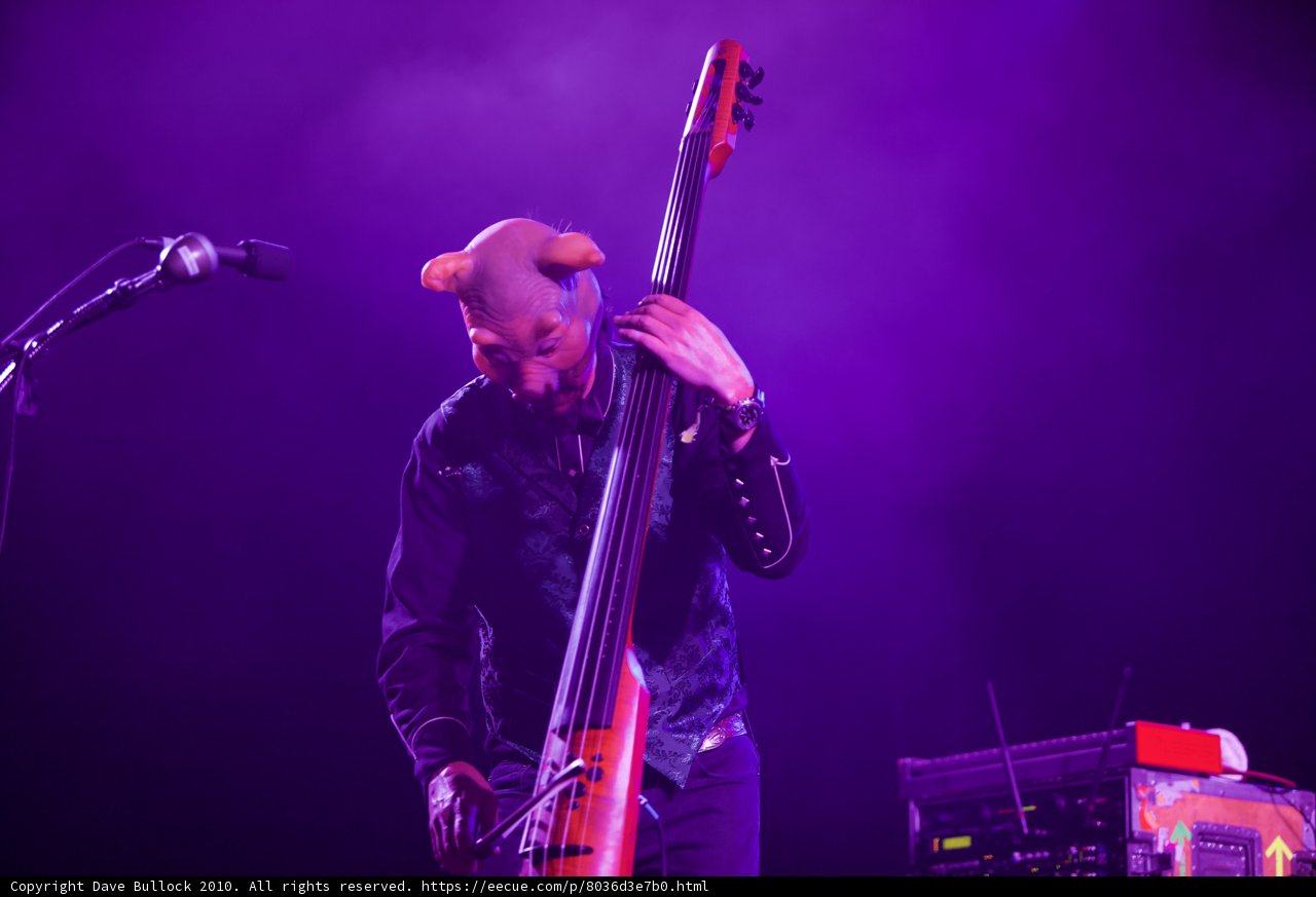 Bassist rocks Coachella stage with purple hues