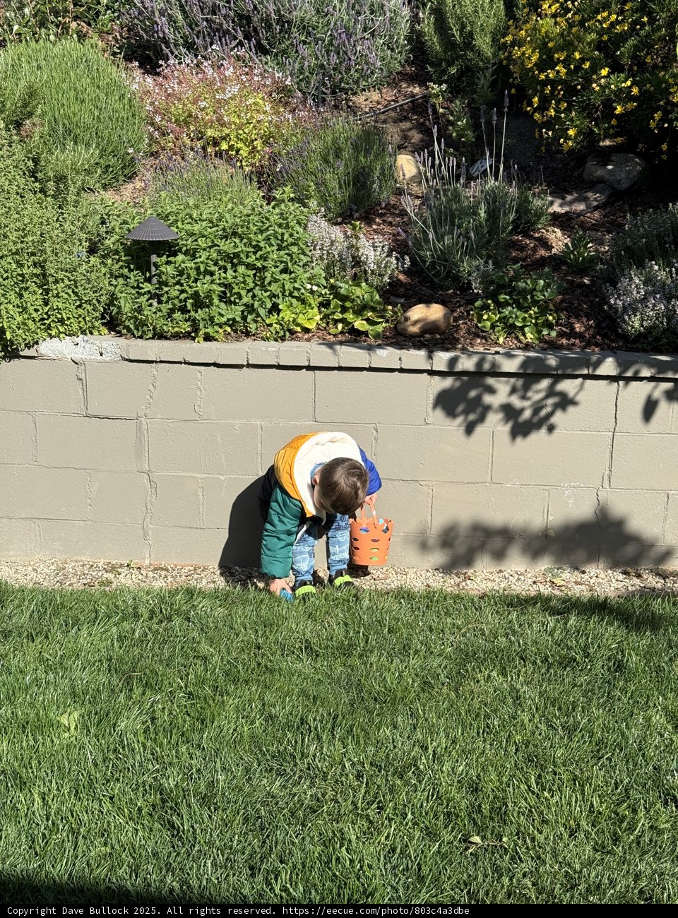 Little Gardener's Day Out