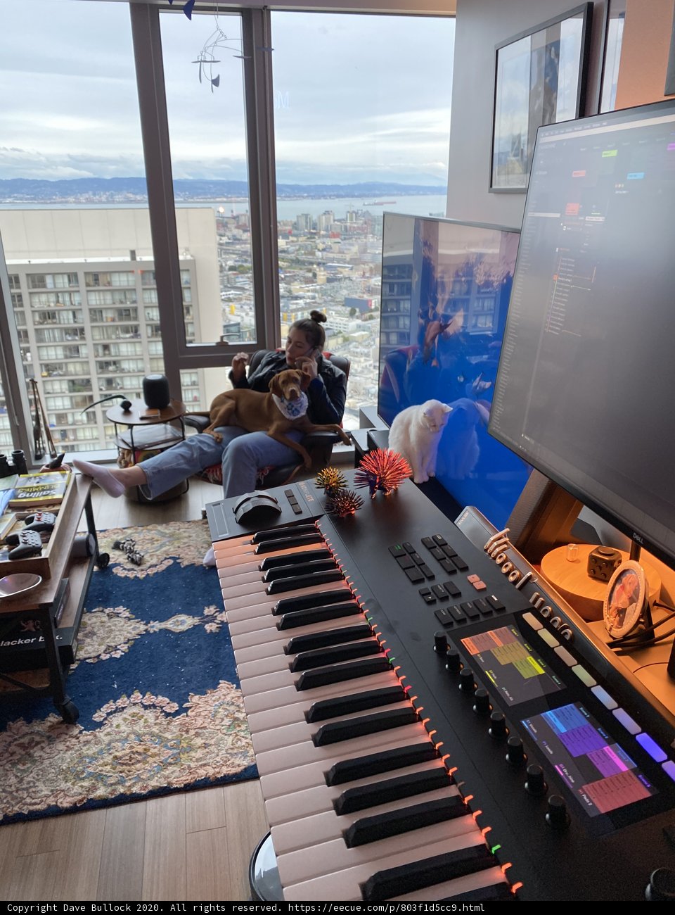 Man and Dog Enjoying Music in San Francisco