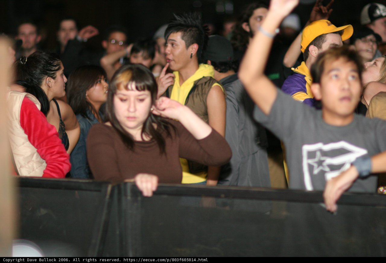 Electric Crowd