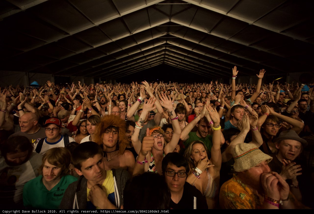 Coachella Crowd Goes Wild