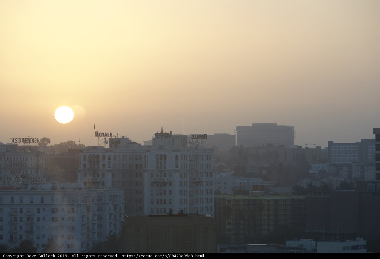 Sunset over the Urban Jungle