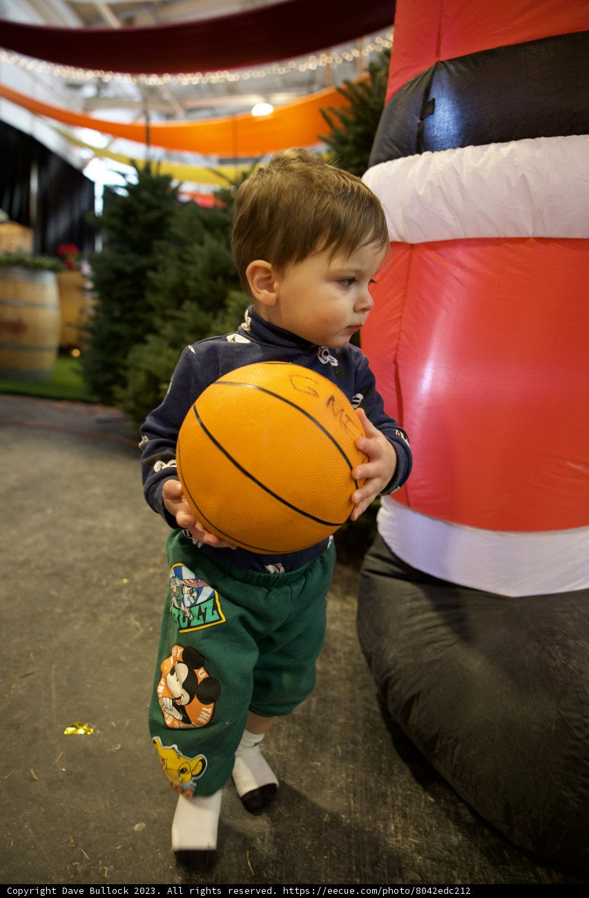 Champion in the Making - Young Wesley's Basketball Adventure