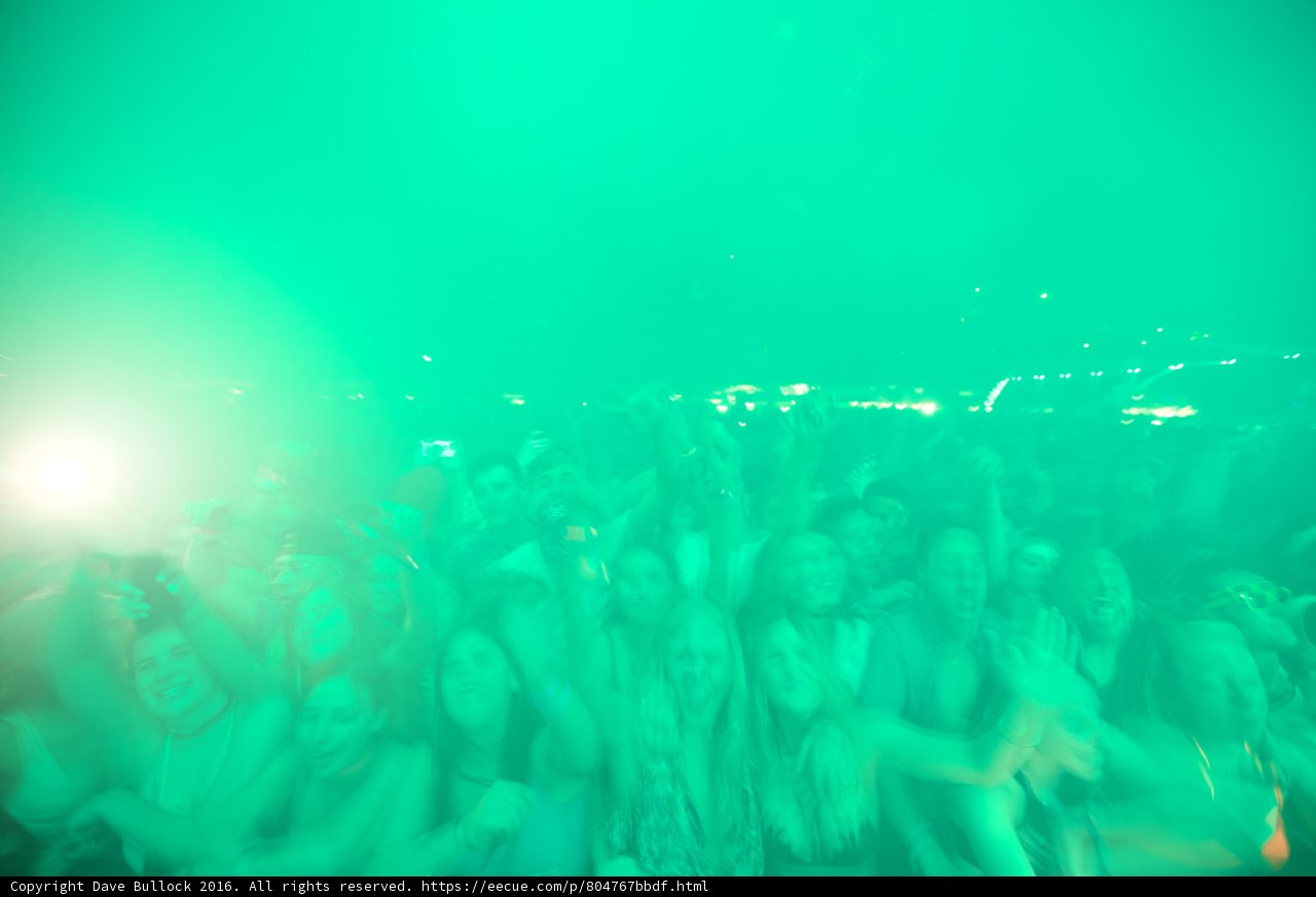 Electric Crowd
