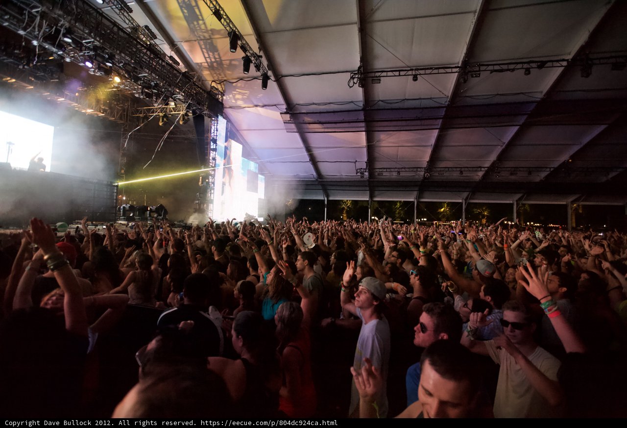 Vibrant Energy at Coachella